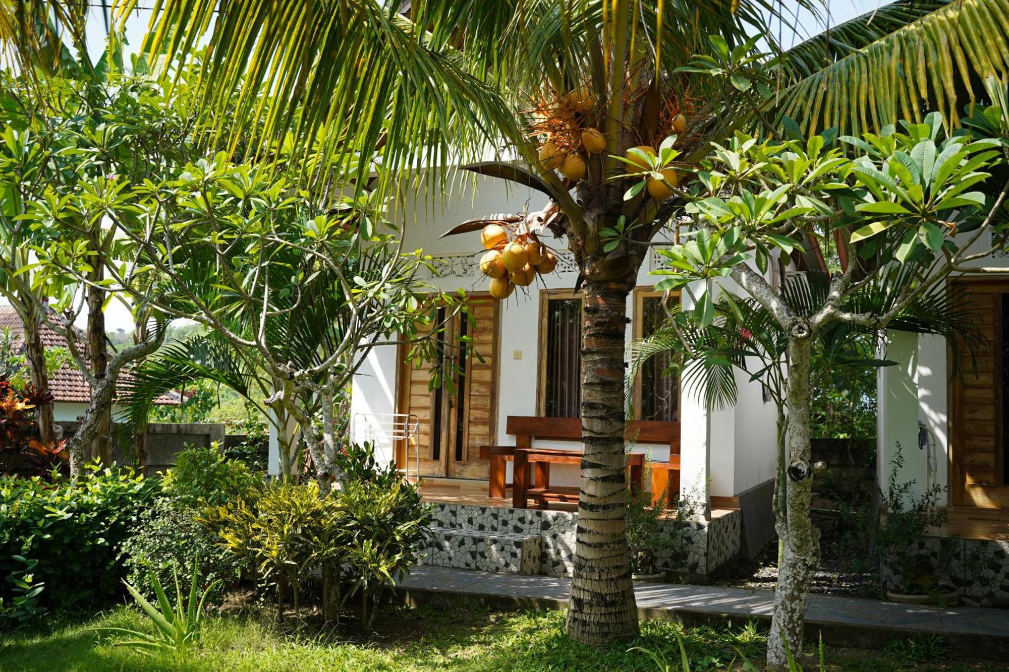 Wahyu Masari Homestay Sakti Exterior foto